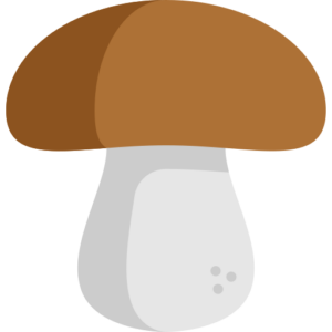 champignon