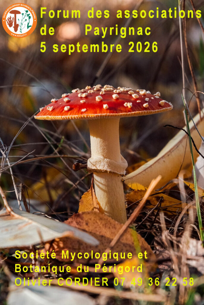 Affiche de la SMBP pendant le forum des associations de Payrignac en septembre 2026